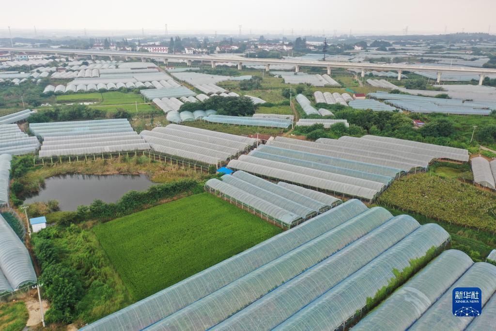 永利技巧攻略